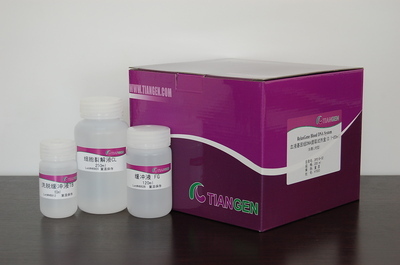 上海信帆生物科技 人粒-巨噬細(xì)胞集落刺激因子(GM-CSF)ELISA試劑盒訂購指南
